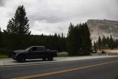 DSC_4489 (Large).JPG